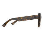 SURF CAT, Honey Tort-Happy Brown Fade, hi-res image number null